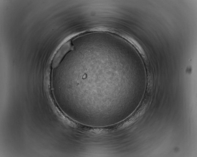 X0000100471000200806201602