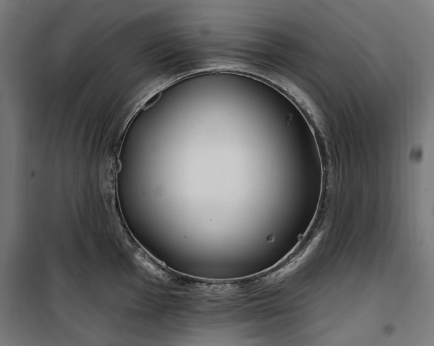 X0000100471001200806201602