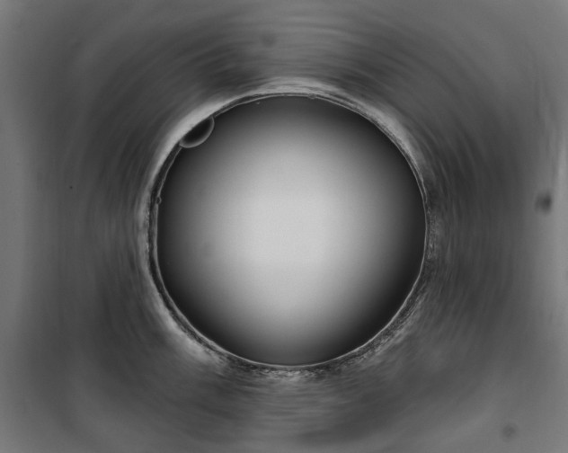 X0000100471003200806201602