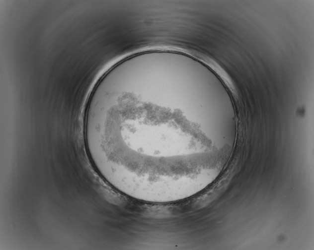 X0000100471004200806201602