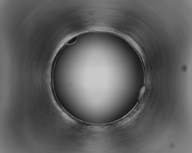 X0000100471005200806201602