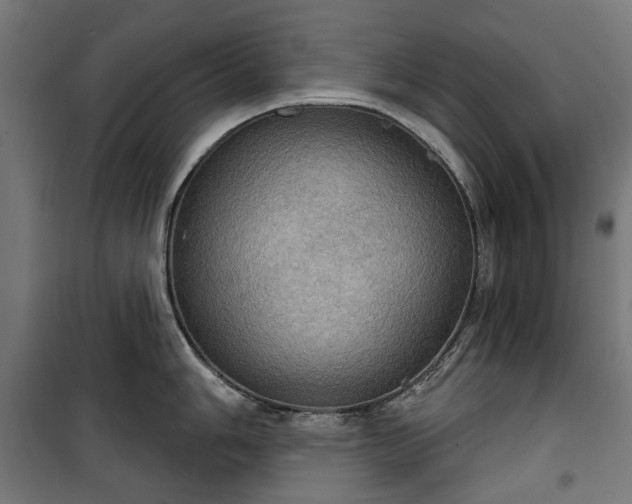 X0000100471006200806201602