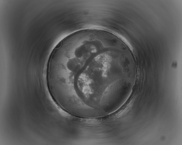 X0000100471007200806201602