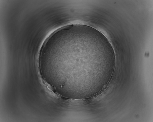 X0000100471008200806201602