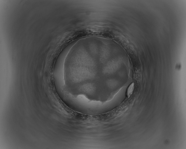 X0000100471009200806201601