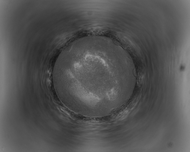 X0000100471010200806201602