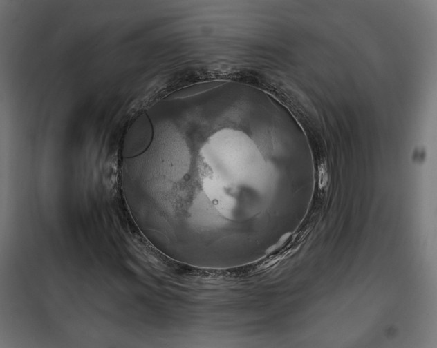 X0000100471011200806201602