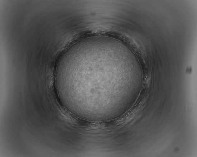 X0000100471012200806201602