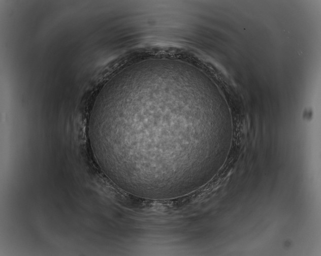 X0000100471013200806201602