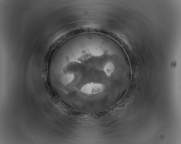 X0000100471015200806201602