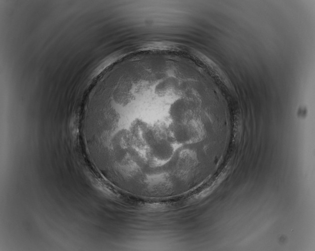 X0000100471017200806201602