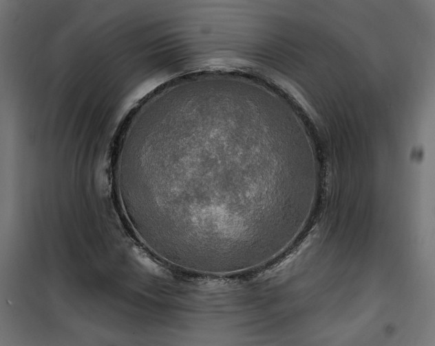 X0000100471018200806201602