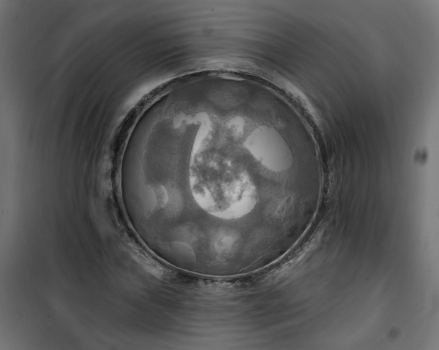 X0000100471019200806201602