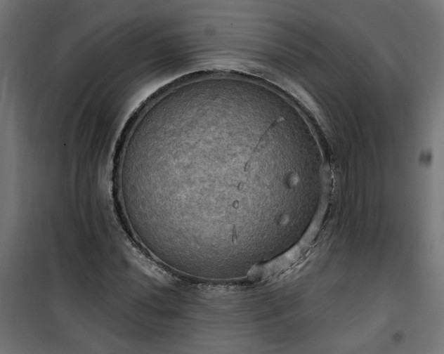 X0000100471020200806201602