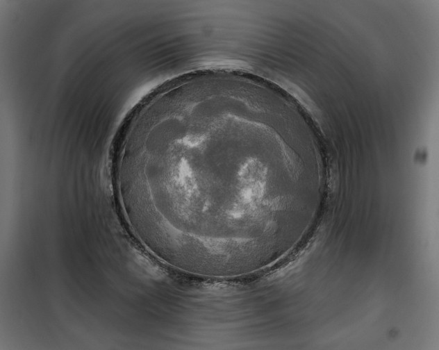 X0000100471022200806201602