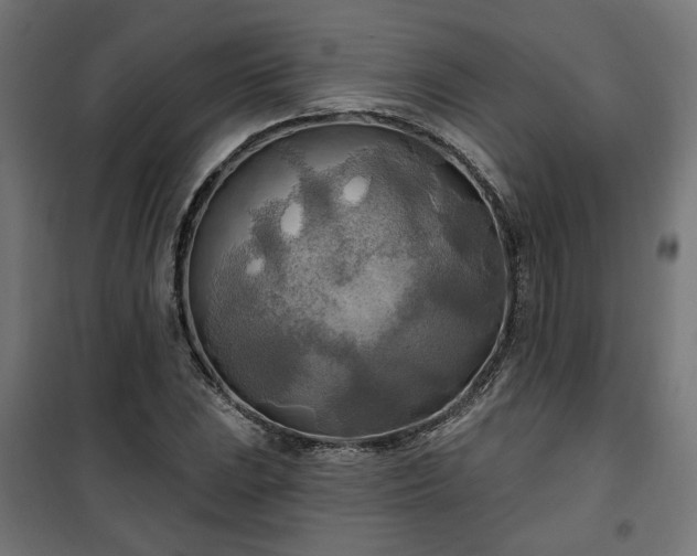 X0000100471023200806201602