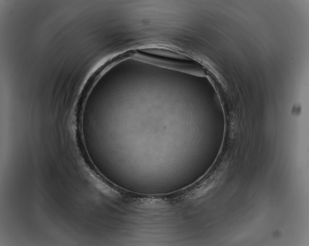 X0000100471024200806201602