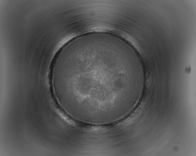 X0000100471026200806201602