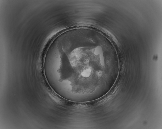 X0000100471027200806201602