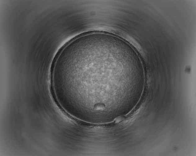 X0000100471028200806201602