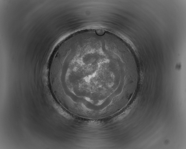 X0000100471029200806201602