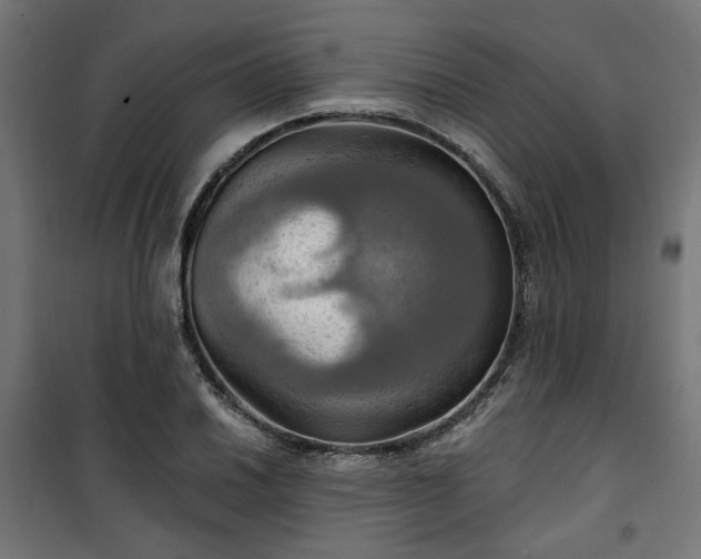 X0000100471030200806201602