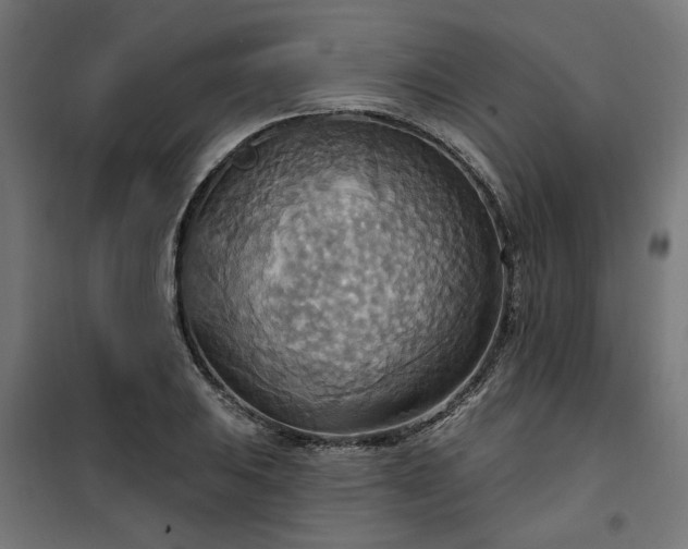 X0000100471031200806201602