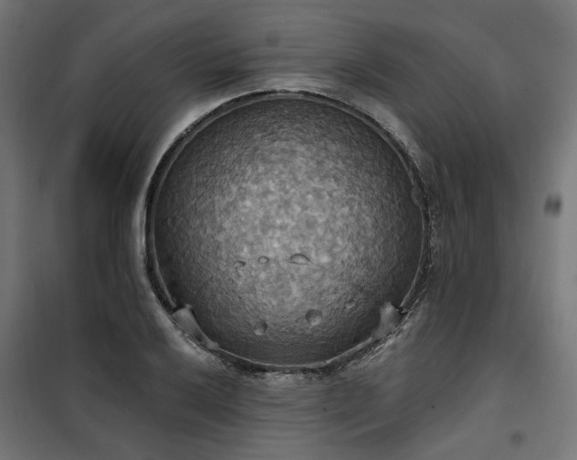 X0000100471032200806201602