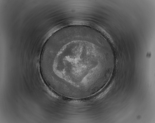 X0000100471033200806201602