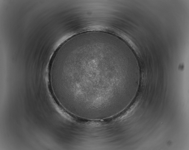 X0000100471034200806201602