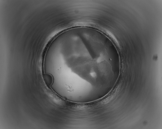 X0000100471035200806201602