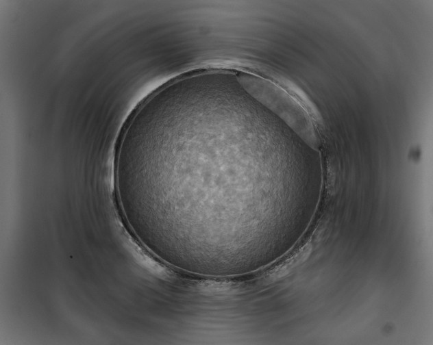 X0000100471036200806201602