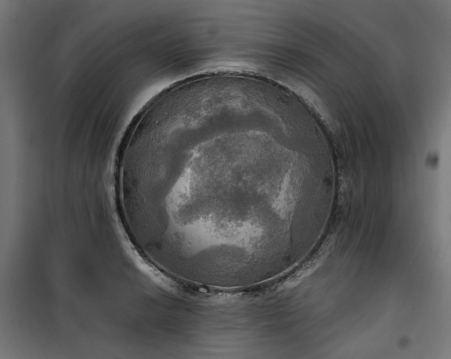 X0000100471038200806201602