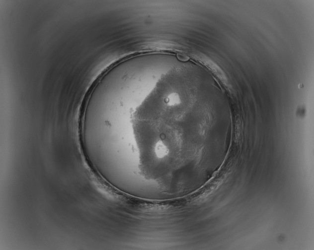 X0000100471039200806201602