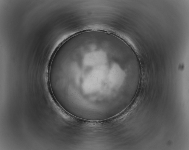 X0000100471040200806201602