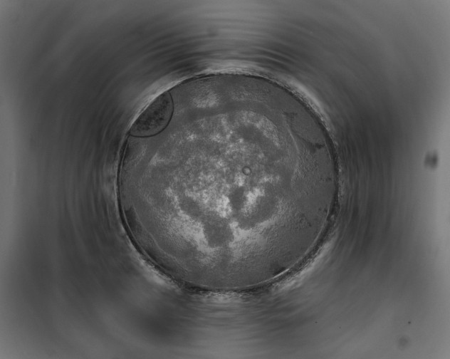 X0000100471041200806201602