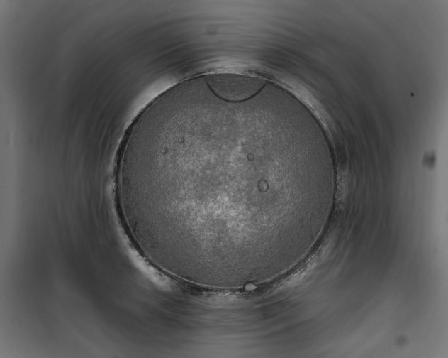 X0000100471042200806201602