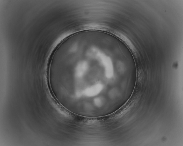 X0000100471043200806201602