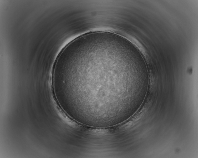 X0000100471044200806201602