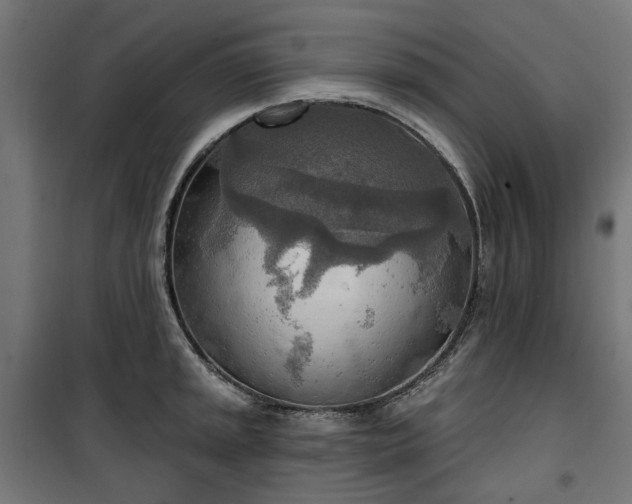 X0000100471045200806201602