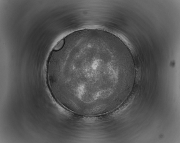 X0000100471046200806201602