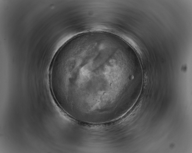 X0000100471047200806201602