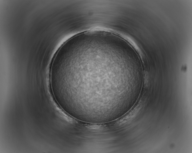 X0000100471048200806201602