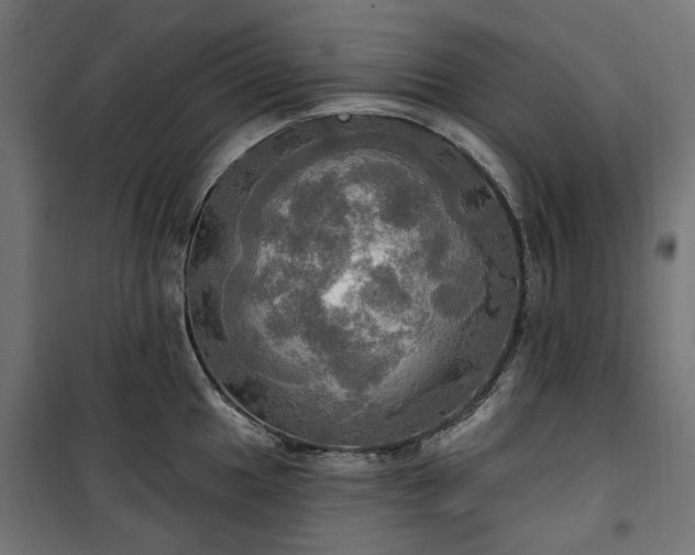 X0000100471049200806201602