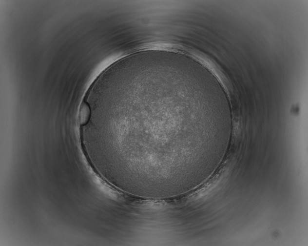 X0000100471050200806201602