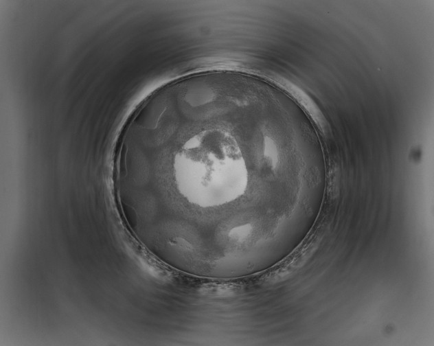 X0000100471051200806201602