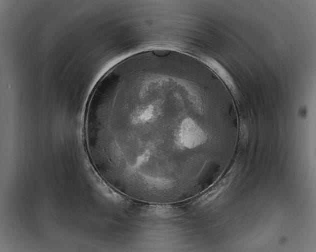 X0000100471052200806201602