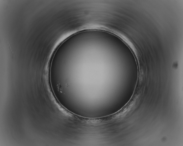 X0000100471053200806201602