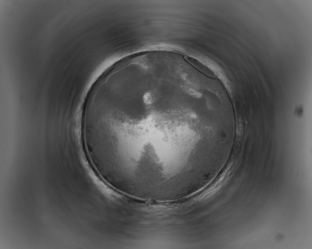 X0000100471054200806201602