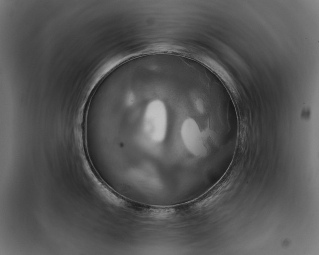 X0000100471055200806201602